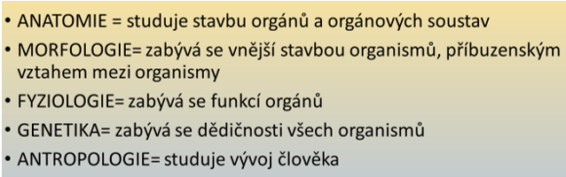 PR8 - Opakování původ a vývoj člověka - 10022021